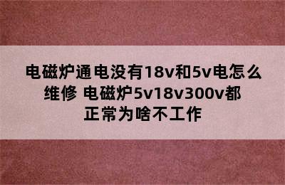 电磁炉通电没有18v和5v电怎么维修 电磁炉5v18v300v都正常为啥不工作